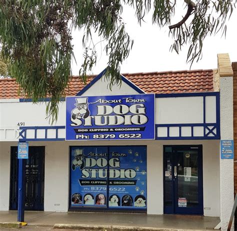 About Town Dog Studio, 491 Portrush Road, Adelaide (2024)